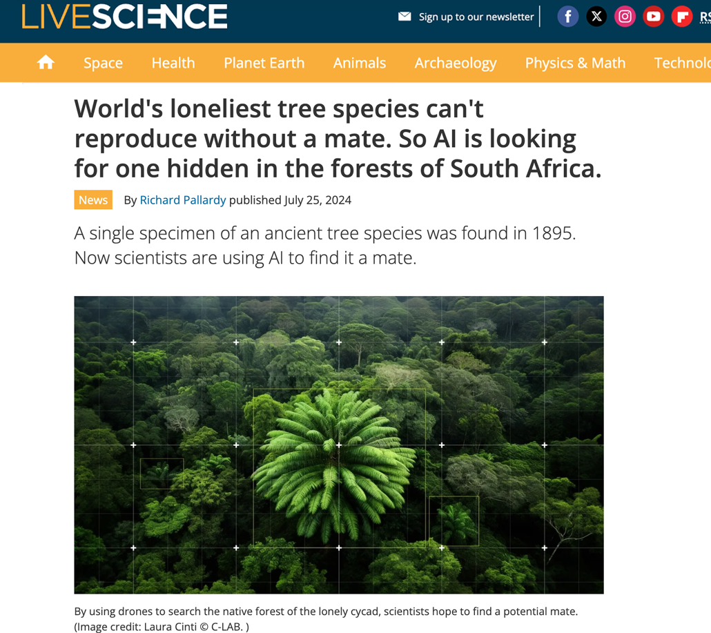 World's loneliest tree species can't reproduce without a mate. So AI is looking for one hidden in the forests of South A