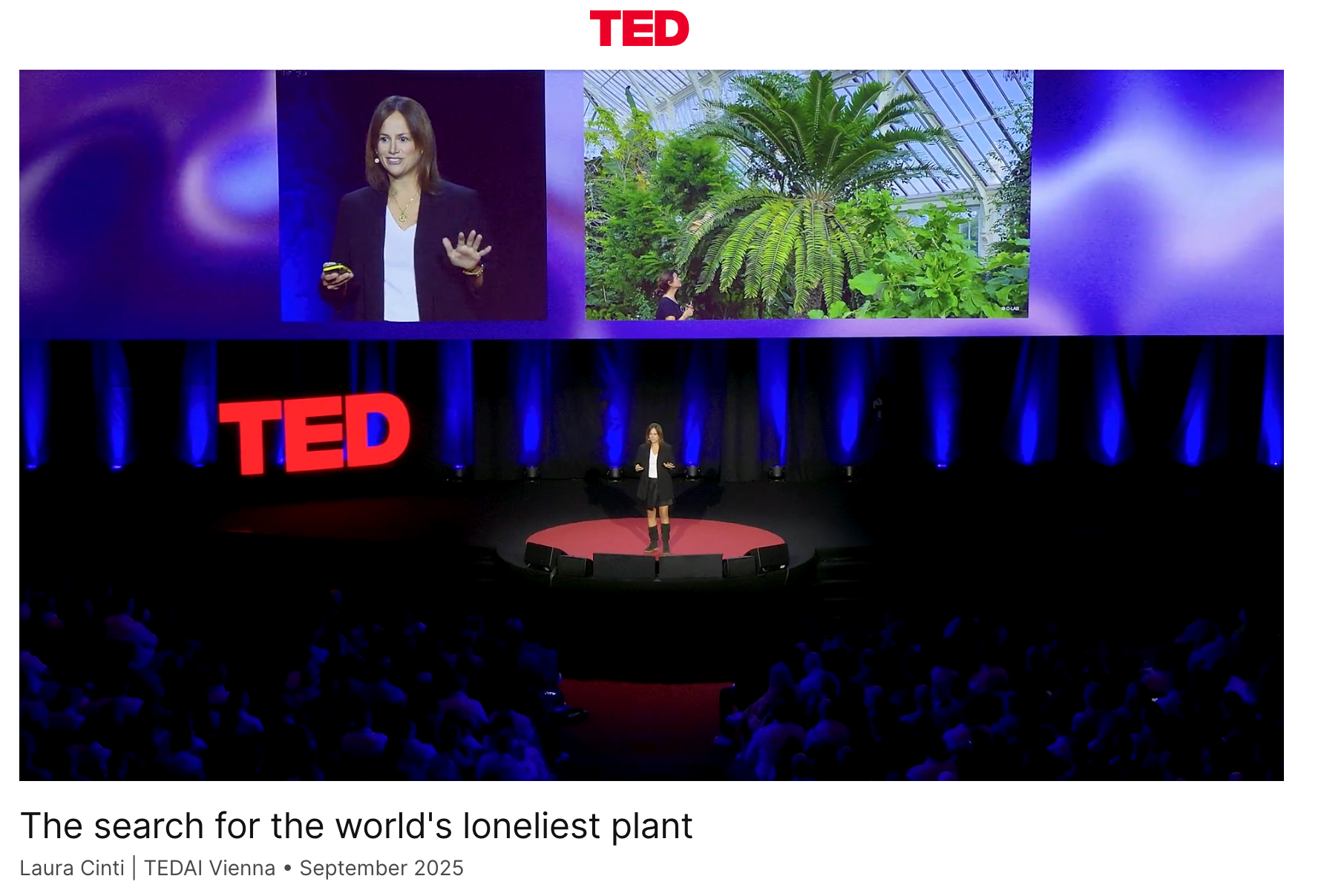 TED Talk, Hofburg Imperial Palace, Vienna, Austria, 2025. 
