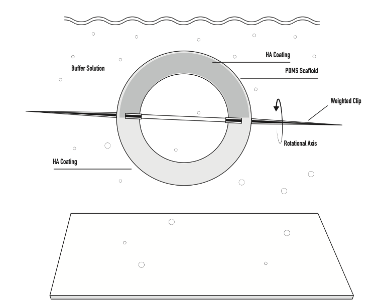 Design outline