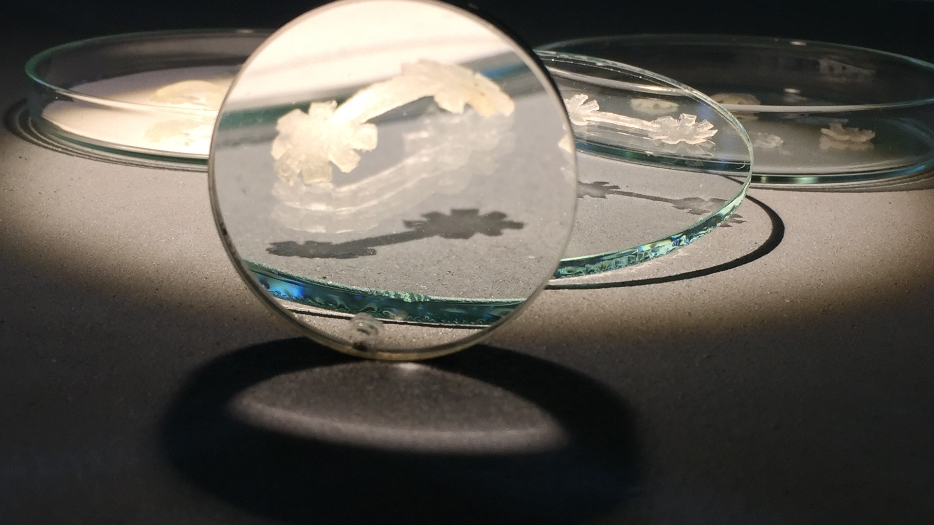 'Cellular Propeller', Experiment artifacts includes various coatings, designs and lab material, DFZK, Heidelberg, German