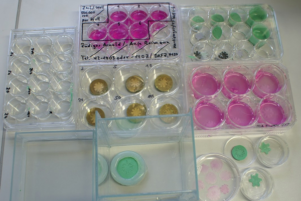 'Cellular Propeller' (2013-2016), Experiment artifacts includes various coatings, designs and lab material, DFZK, Heidel