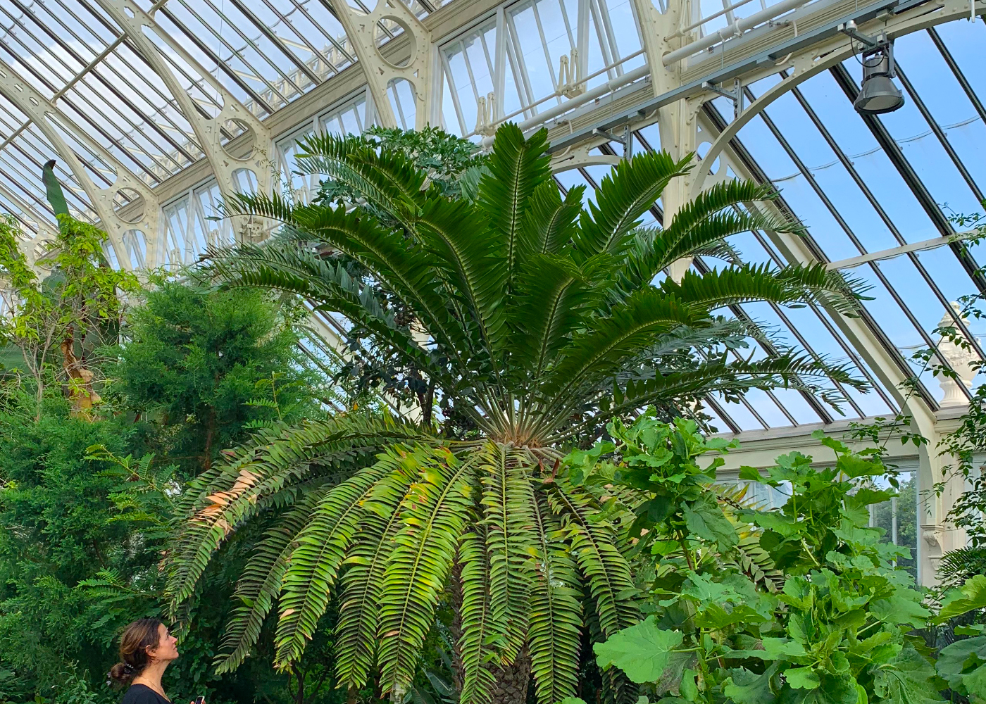 E. Woodii and I (Laura Cinti), Temperate House, Royal Botanic Garden, Kew, September 2021. Photo: Howard Boland. The E