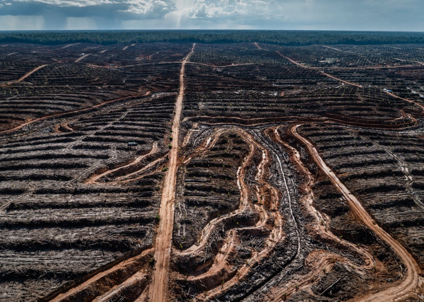Deforestation in Indonesia to make way for a palm oil concession. Photograph: Ulet Ifansasti/Greenpeace.