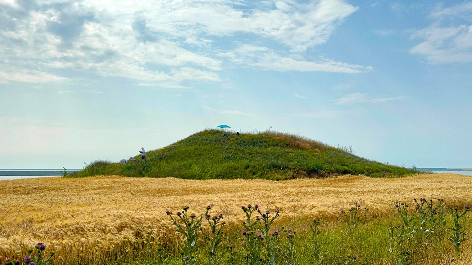 The kurgan where we carried out our fieldwork, tentatively coded KI_RO, turned out to have a name: Movilele Caranasuf. “