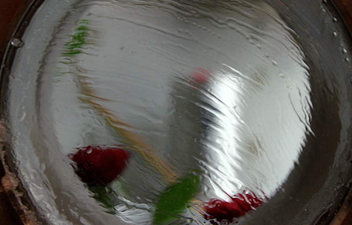 Roses during exposure to Martian atmospheric parameters, Mars Simulation Laboratory, University Aarhus, Denmark, March 2
