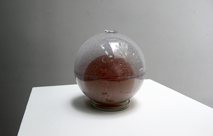 Howard Boland, Bacterial World