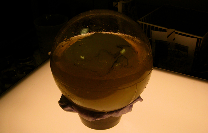 Working space: a laboratory next to the BT tower, Bacterial World, Howard Boland