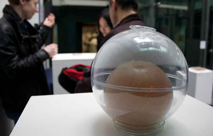 Howard Boland, Bacterial World