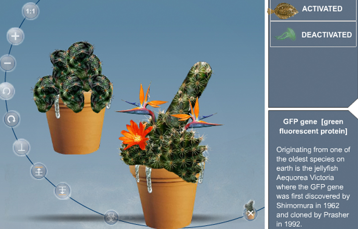Genetoy, 2003