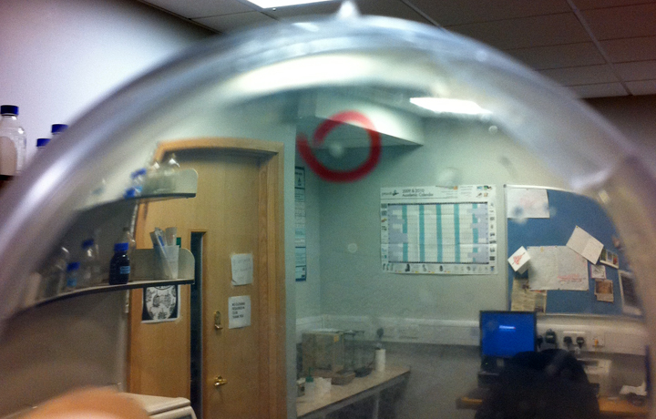Colony Identified as a Potential Candidate – Highlighting a bacterial colony selected for its suitability in genetic eng
