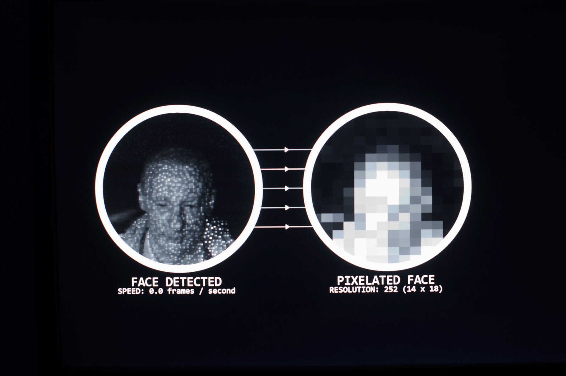 Living Mirror (2013), Age of Wonder, Natlab, Eindhoven, The Netherlands © C-LAB.