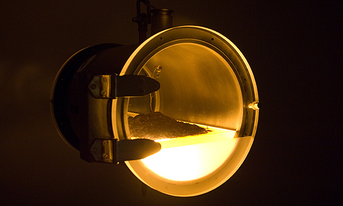 The Martian Rose (2007), Bios 4. Arte Biotecnológico y Ambiental, CAAC - Centro Andaluz de Arte Contemporáneo, Seville,