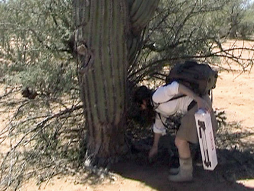 Saying Goodbye, The Mexico Project,   May 2004,  Sonora Desert, Mexico