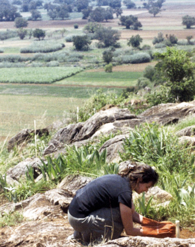 Transplanting Transgenic Cactus in Oaxaca, May 2004,  Oaxaca, Mexico