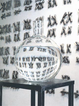 Zoosemiotics, 2001