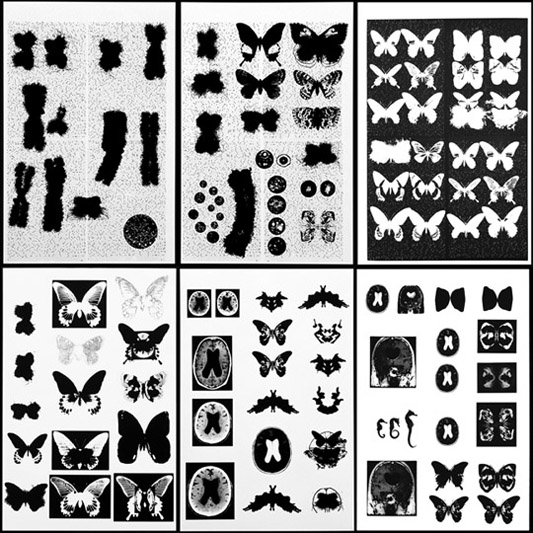 Butterfly in the brain, 2002
