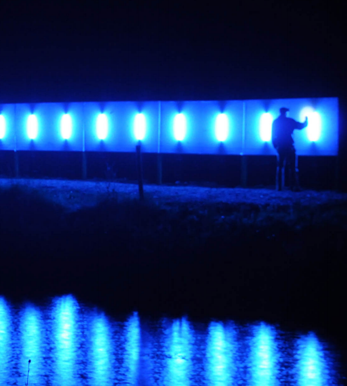 Love Motels for Insects: Lough Boora Variation 2010, 2001 - ongoing
