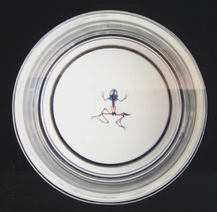 Biotechnique, 2007 (Photo: Phillip Ross)