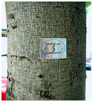 Biopresence, 2003