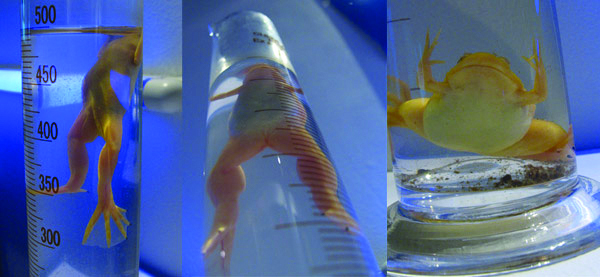 Senses Alert II, 2007