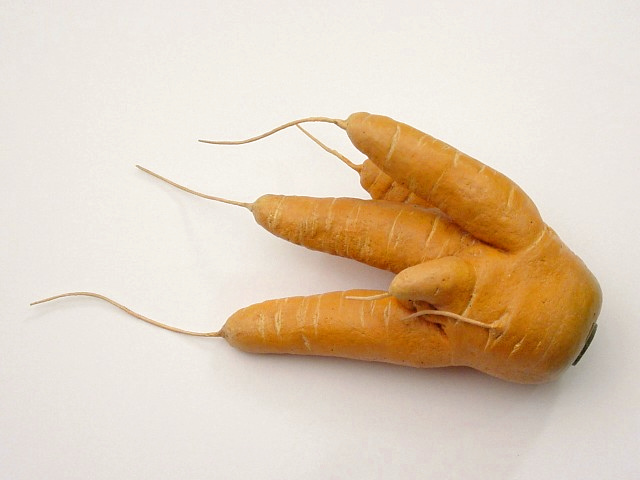 Morphotheque #9, 1997