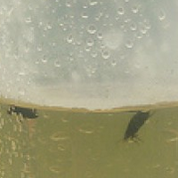 Biorama 
