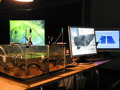 ENKi, 2005-2009