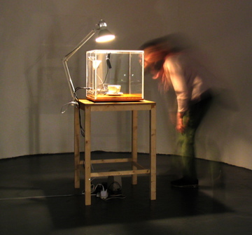 Coffee Cup Oscillator, 2004