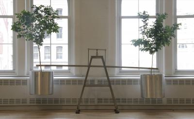 Tree Balance, 2005-2010
