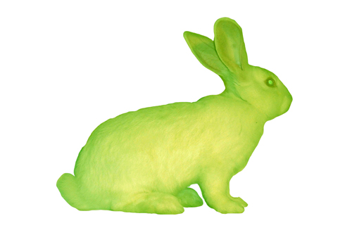 GFP Bunny, 2000