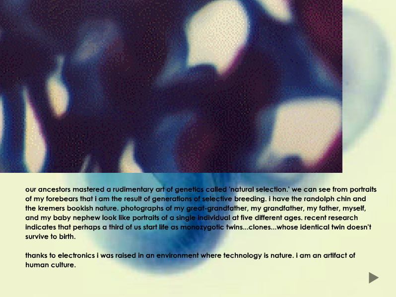 wonder/controversy, an experimental book, 2003