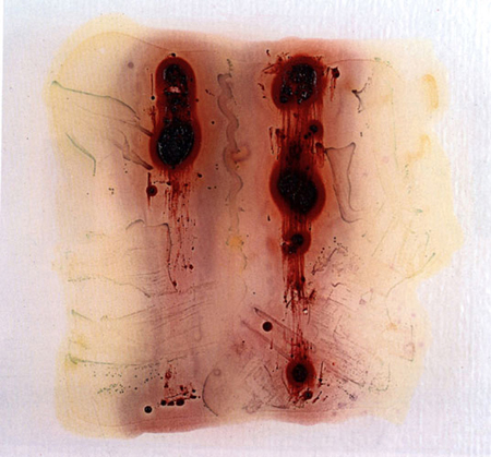 bacteria paintings