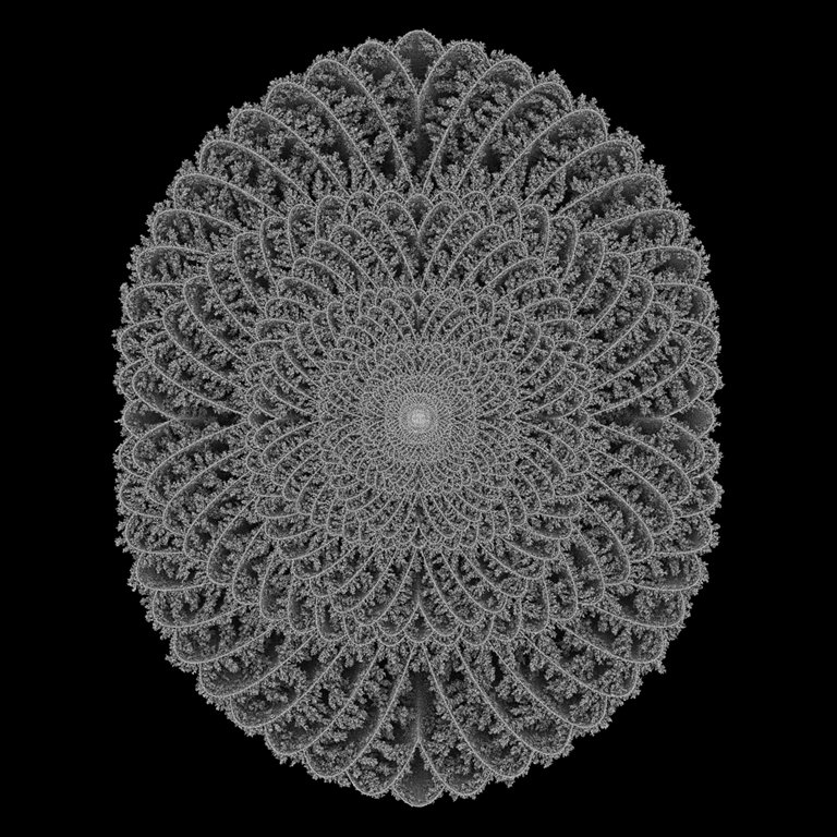 Images of Aggregation, Aggregation 38, 2005. 