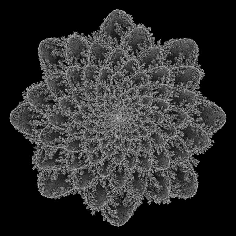 Images of Aggregation, Aggregation 35, 2005. 
