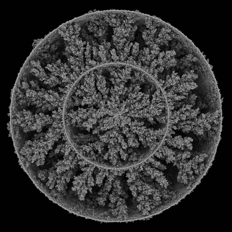Images of Aggregation, Aggregation 23, 2005.