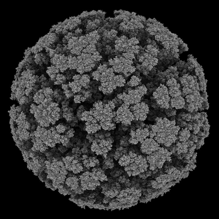 Images of Aggregation, Aggregation 27, 2005. 