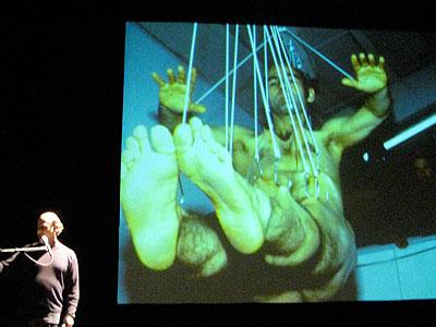 Stelarc
