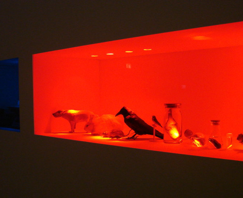 NoArk, 2007 - 2008