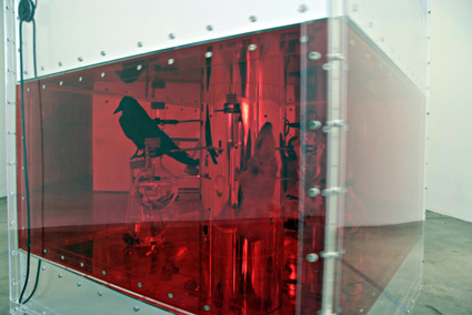 NoArk, 2007 - 2008