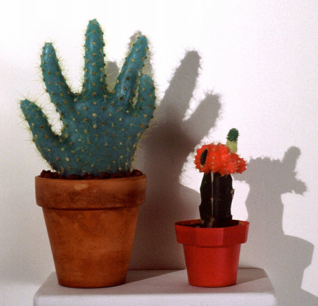 'Hyperdomestic Cacti', 1998-1999