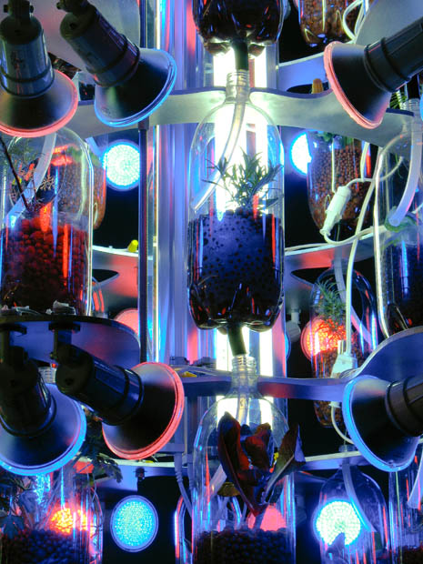 Youngs in collaboration with Ken Rinaldo, 'Farm Fountain', 2008