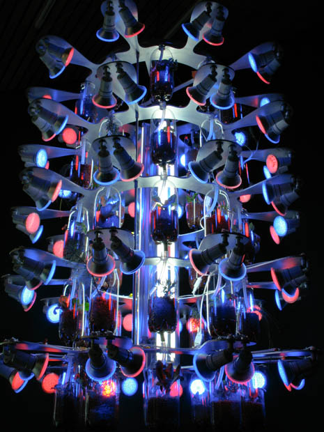 Youngs in collaboration with Ken Rinaldo, 'Farm Fountain', 2008