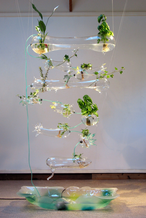 Youngs in collaboration with Ken Rinaldo, 'Hydroponic Solar Garden', 2005