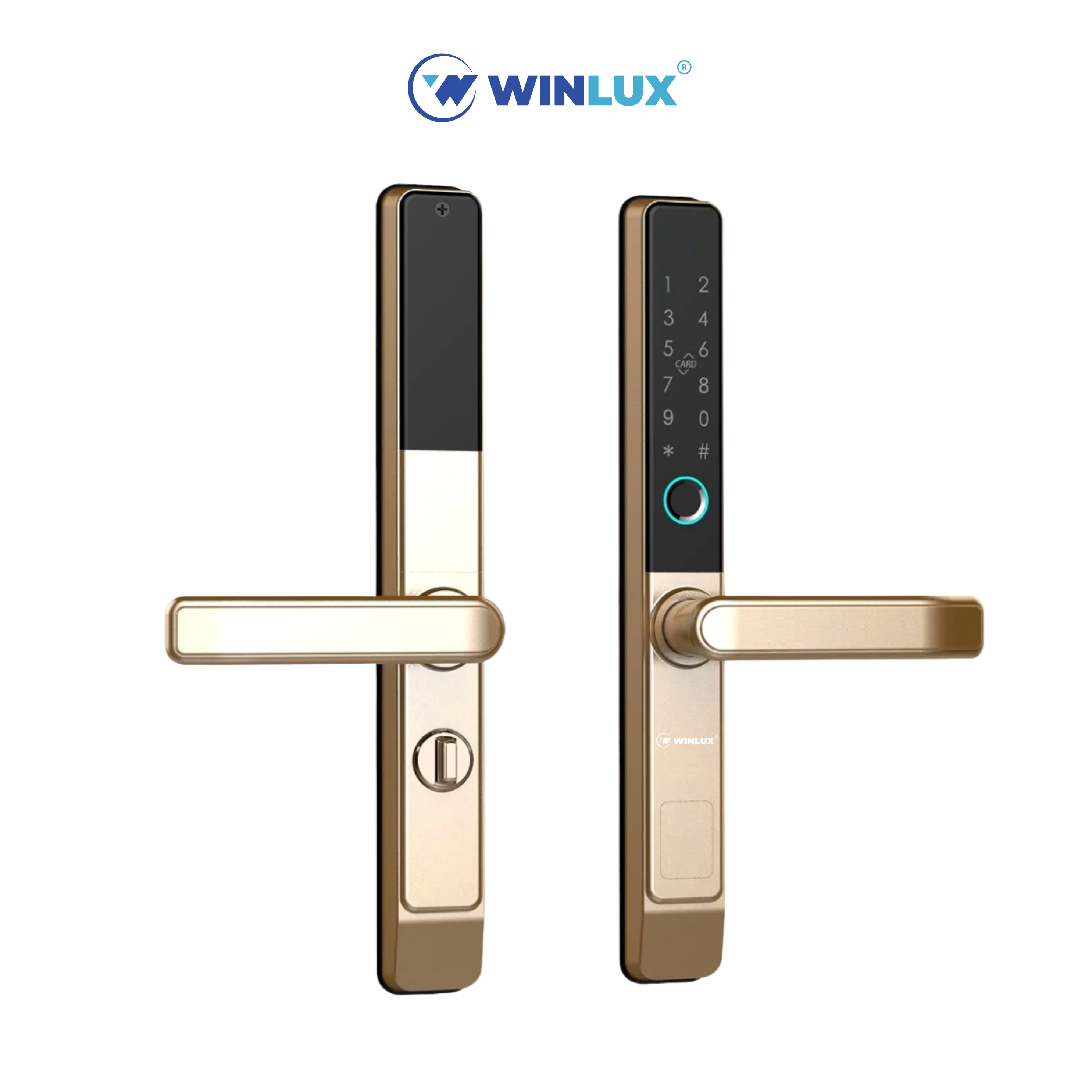 Khóa cửa thông minh Winlux - FN395