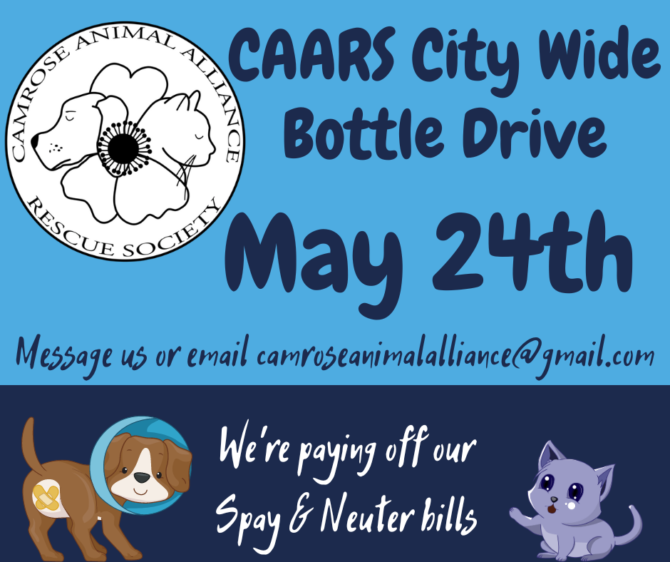 City Wide Bottle Drive