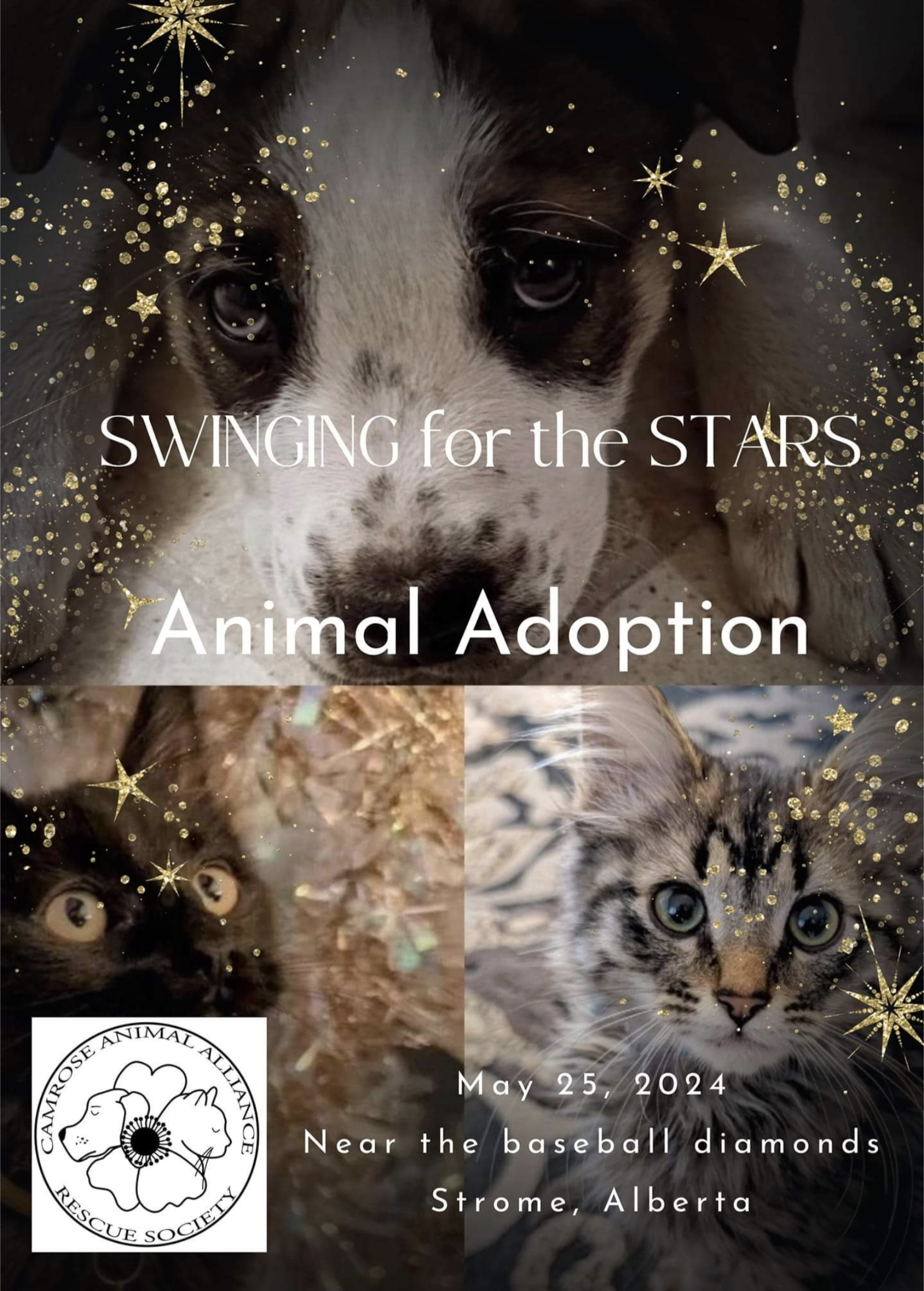 Swinging for the Stars Animal Adoption
