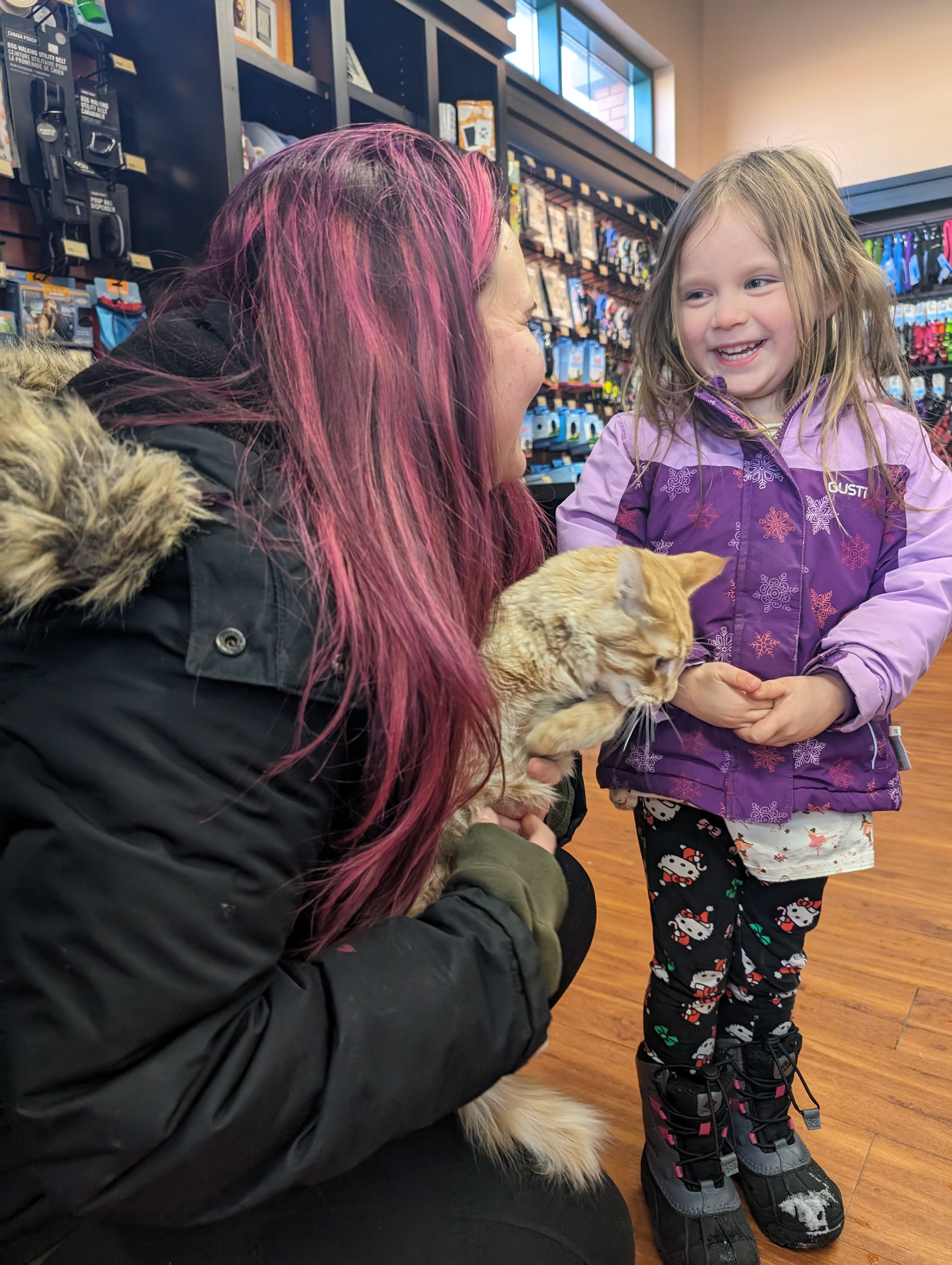 Adopted Animal Image 14