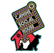 Canine Social House