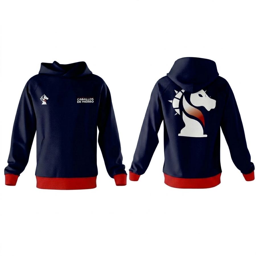 Sudadera 1