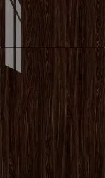 Guayana Gloss door style